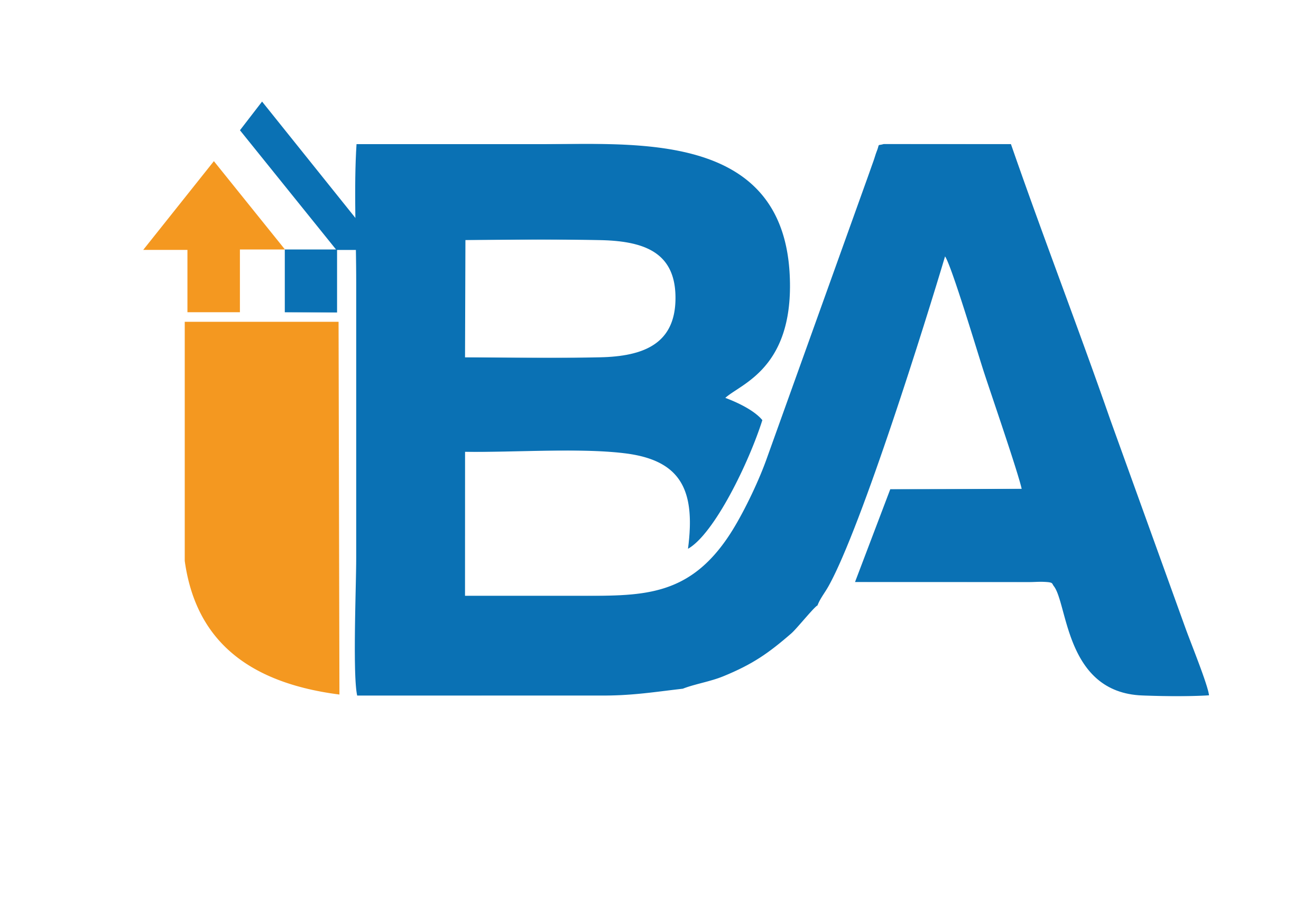 IBA Services Logo